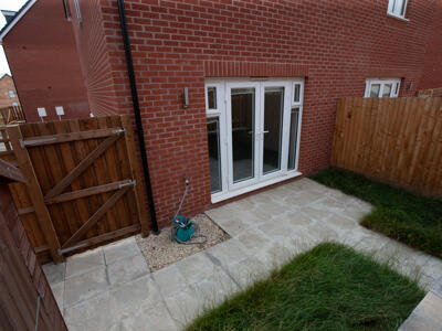 Picture 19